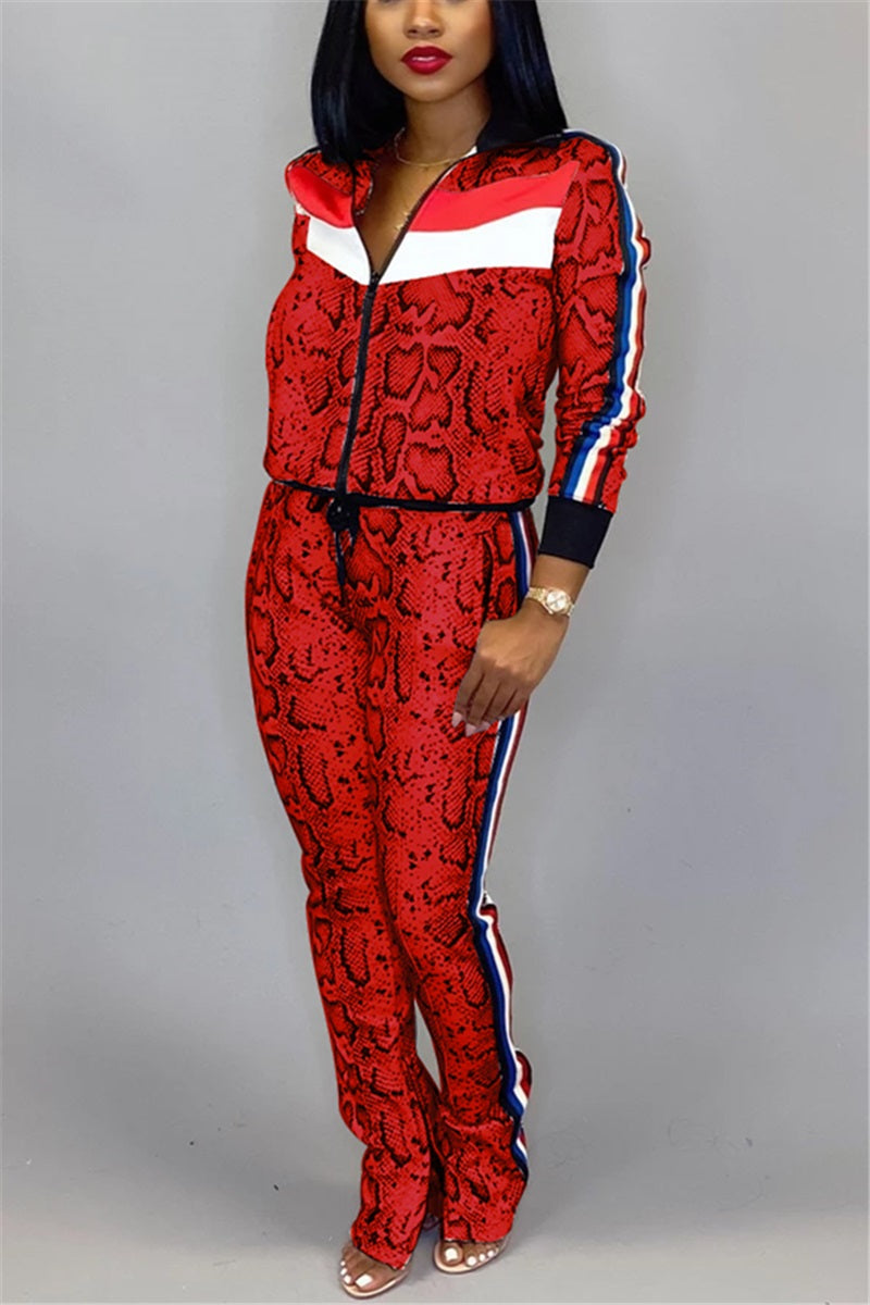 Autumn And Winter Ladies Snake Print Long Sleeve Sports Two Piece Suit