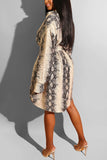 Fashion adult Casual Cap Sleeve Long Sleeves Cardigan A-Line Mini Leopard Print Long Slee