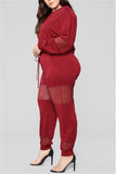 Fashion Casual Solid Hollowed Out See-through O Neck Long Sleeve Regular Sleeve Regular Two Pieces
