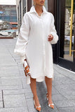 Casual Solid Patchwork Buckle Fold Turndown Collar Shirt Dress Plus Size Dresses