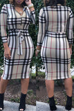 Casual Grids Printed  Multicolor Knee Length  Dress