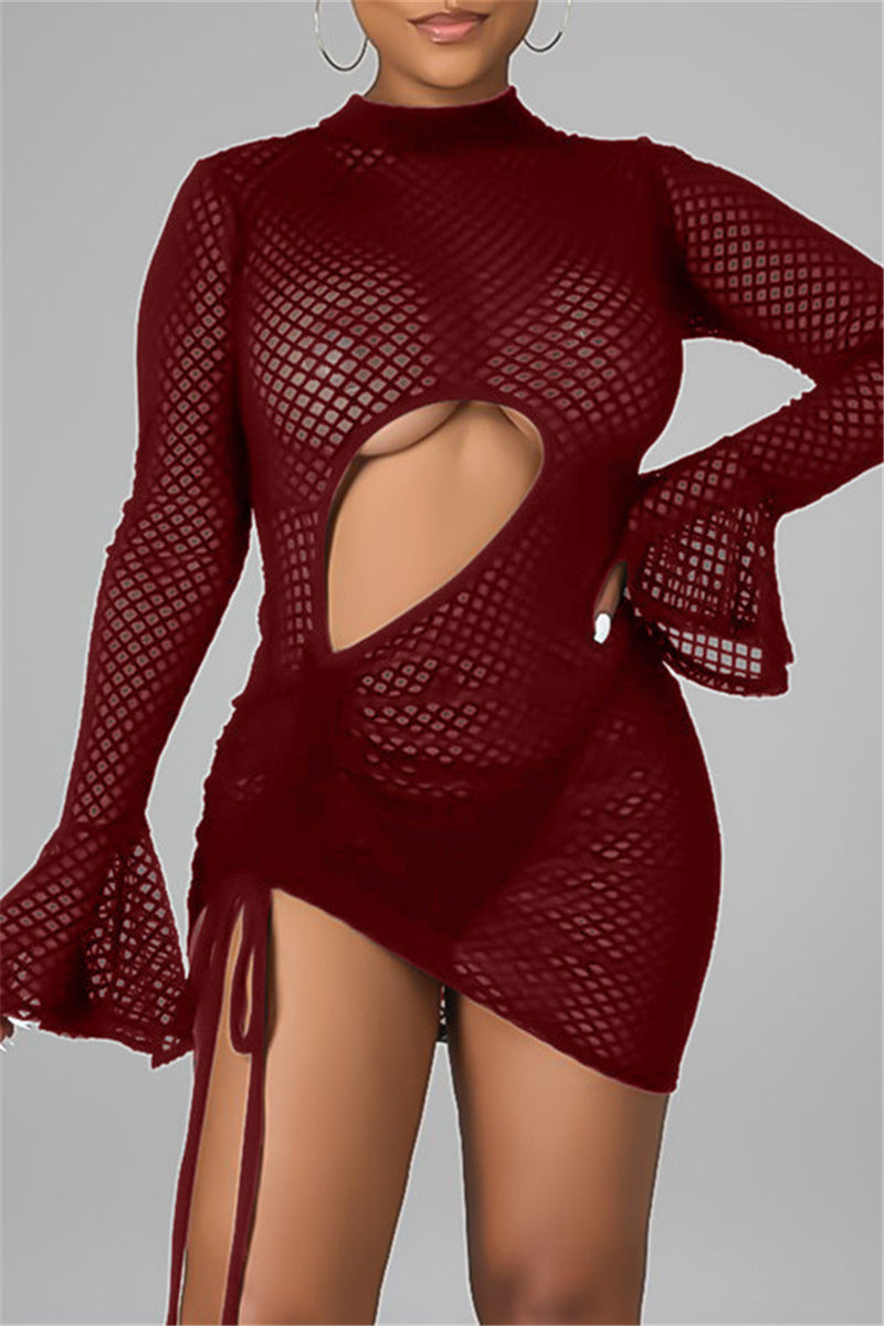 Sexy Solid Hollowed Out See-through Half A Turtleneck Long Sleeve Dresses