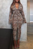 Fashion Casual Print Leopard Basic Turndown Collar Long Sleeve Two Pieces
