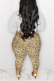 Fashion Casual Leopard Long Sleeve Two-Piece Suit (With Belt)