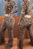 Sweet Leopard Print Two-piece Pants Set