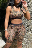 Casual Sportswear Print Leopard Vests U Neck Sleeveless Two Pieces