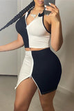 Fashion Sexy Patchwork Backless Slit Zipper Collar Sleeveless Two Pieces
