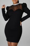 Fashion Sexy Patchwork See-through O Neck Long Sleeve Dresses