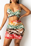 Sexy Print Split Joint Halter Sleeveless Two Pieces