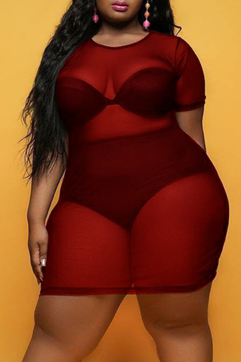 Sexy Plus Size Solid See-through O Neck Short Sleeve Dress
