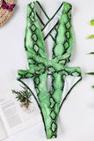 Sexy Snake Print Bikini Swimsuit