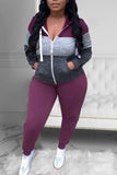 Casual Sportswear Patchwork Split Joint Hooded Collar Long Sleeve Two Pieces