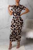 Fashion Leopard Print Multicolor Short Sleeve Dress