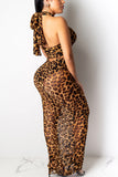Sexy Mesh Perspective Leopard Print Two Pieces