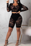 Fashion Sexy Solid See-through O Neck Long Sleeve Two Pieces