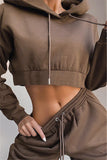 Casual Sportswear Long Sleeve Hooded Collar Regular Sleeve Short Solid Two Pieces