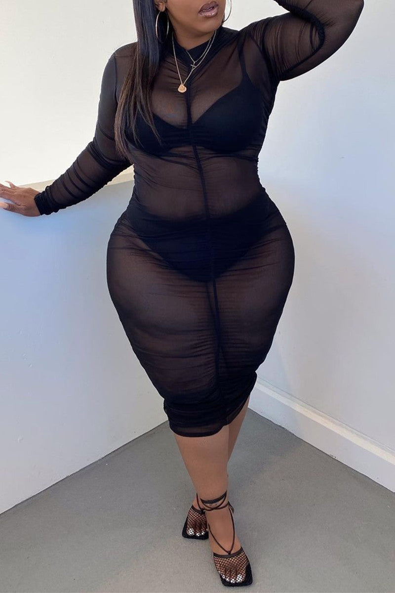 Fashion Sexy Plus Size Solid See-through O Neck Long Sleeve Dress