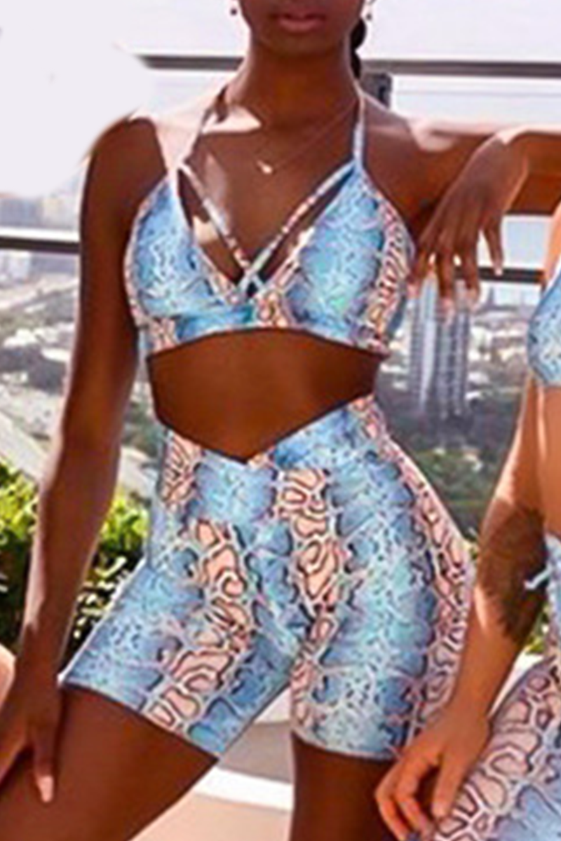 Sexy Print Split Joint Sleeveless Two Pieces