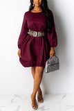 Fashion Casual Wine Red Pullover Dress