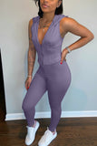 Fashion Sleeveless Top Trousers Purple Hooded Set