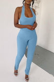 Sexy Casual Solid Backless Slit Halter Skinny Jumpsuits