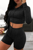 Casual Sportswear Solid Basic Hooded Collar Long Sleeve Two Pieces