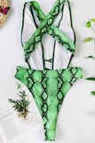 Sexy Snake Print Bikini Swimsuit