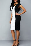 British Style Solid Hollowed Out Split Joint Knotted Asymmetrical Collar Straight Dresses