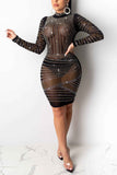 Fashion Sexy Long Sleeve Black Perspective Dress