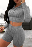 Casual Sportswear Solid Basic Hooded Collar Long Sleeve Two Pieces