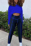 Casual Sportswear Long Sleeve O Neck Regular Sleeve Short Solid Two Pieces