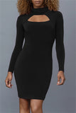 Fashion Casual Solid Hollowed Out Turtleneck Long Sleeve Dresses