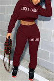 Casual Sportswear Long Sleeve Hooded Collar Regular Sleeve Regular Letter Embroidery Two Pieces