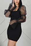 Fashion Organza Square Collar Black Solid Dress