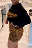 Casual Daily Leopard Patchwork Printing Contrast Long Sleeve Two Pieces