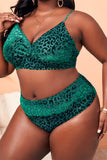 Fashion Sexy Leopard Split Joint Backless V Neck Plus Size Swimwear (With Paddings)